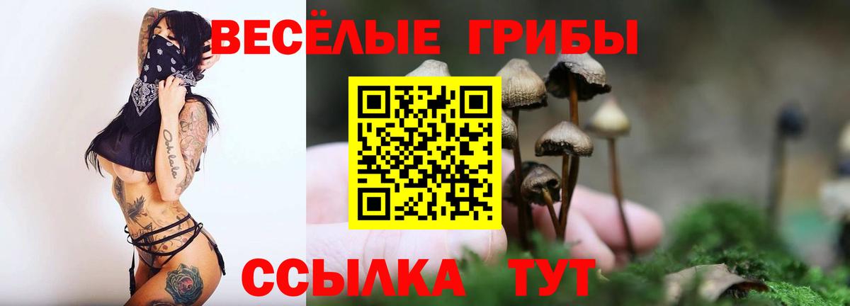 Псилоцибиновые грибы GOLDEN TEACHER Трёхгорный